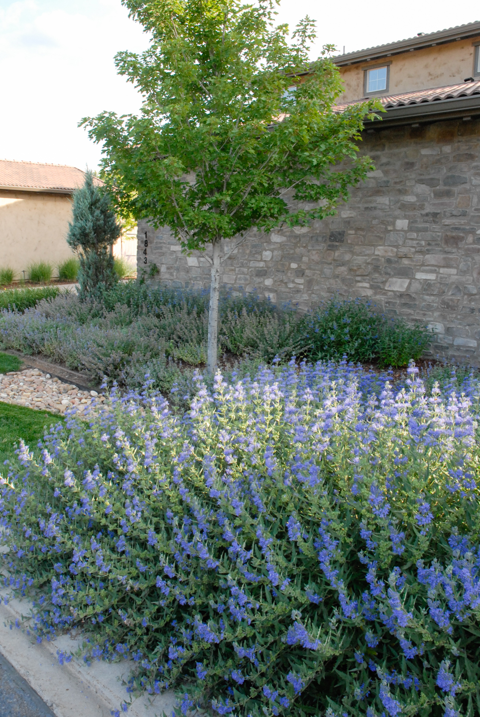 Patio Home Curb Appeal